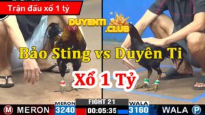 Bảo sting vs duyên ti xổ 1 tỷ