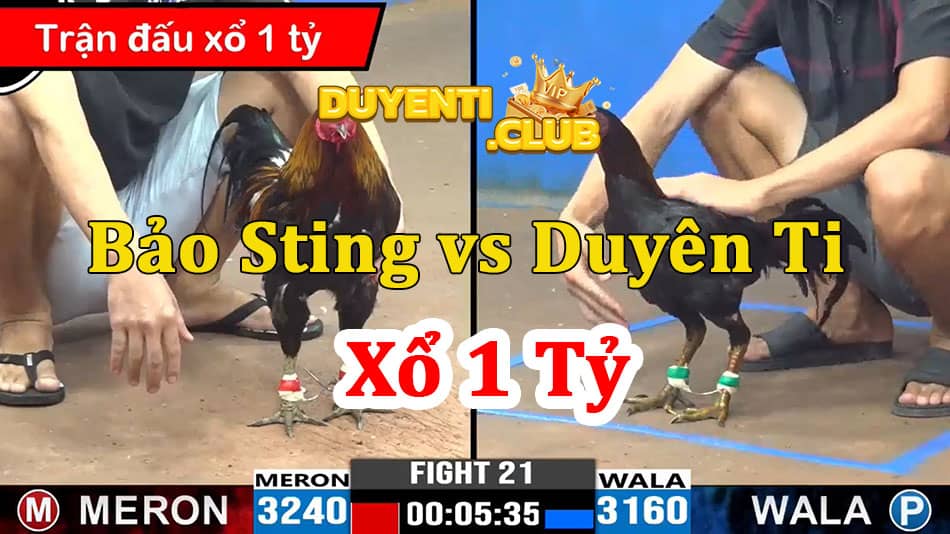 Bảo sting vs duyên ti xổ 1 tỷ