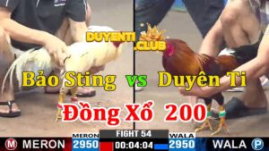 bảo sting vs duyên ti xổ 200