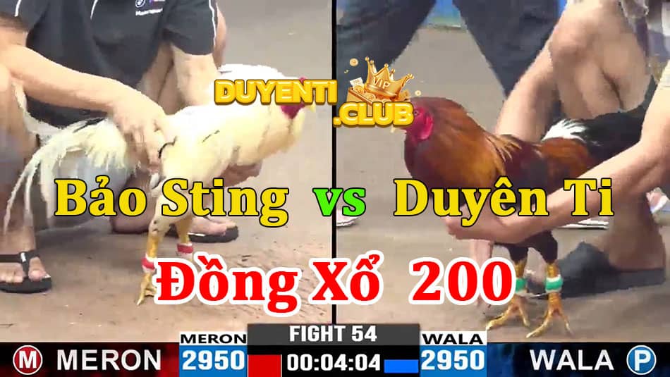 đồng xổ 200 duyên ti vs bảo sting
