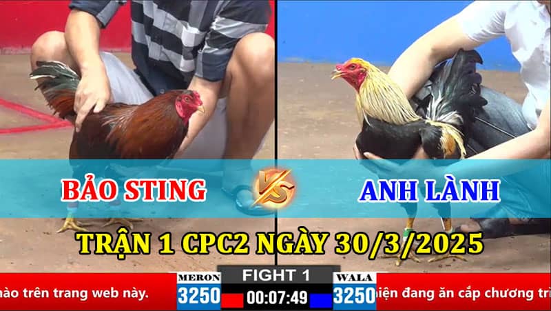 TRẬN 1 CPC2 30/3/2025