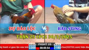 TRẬN 25 CPC2 30/3/2025