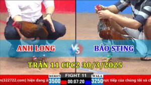 TRẬN 11 CPC2 30/3/2025