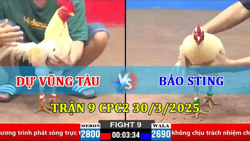 Trận 9 CPC2 30/3/2025
