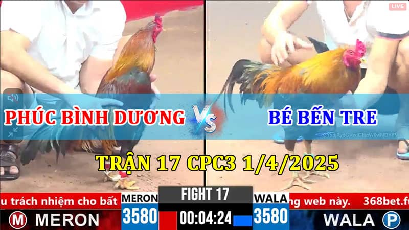 TRẬN 17 CPC3 1/4/2025