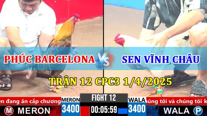 Trận 12 CPC3 1/4/2025