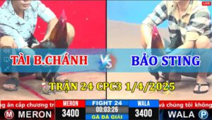 Trận 24 CPC3 1/4/2025