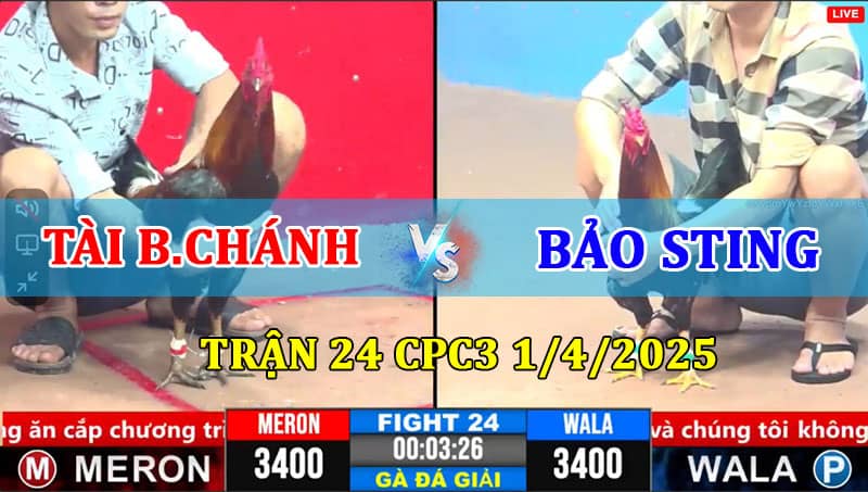 TRẬN 24 CPC3 1/4/2025 TÀI BÌNH CHÁNH VS BẢO STING 1 Trận 24 CPC3 1/4/2025