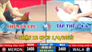 Trận 28 CPC3 1/4/2025