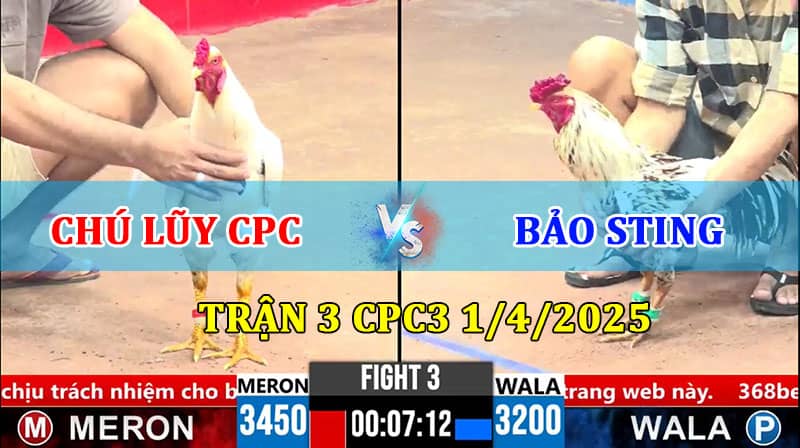 Trận 3 CPC3 1/4/2025