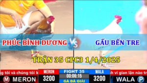 Trận 35 CPC3 1/4/2025