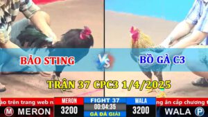 Trận 37 CPC3 1/4/2025