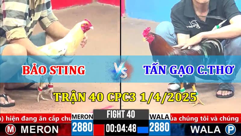 Trận 40 CPC3 1/4/2025