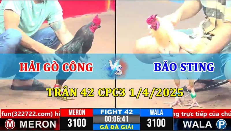 Trận 42 CPC3 1/4/2025