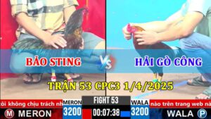 Trận 53 CPC3 1/4/2025