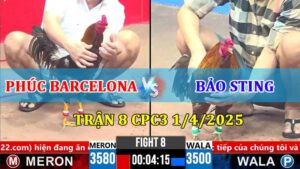 Trận 8 CPC3 1/4/2025