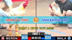 Trận 1 CPC3 Ngày 27/7/2025