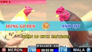 Trận 10 CPC1 28/7/2025