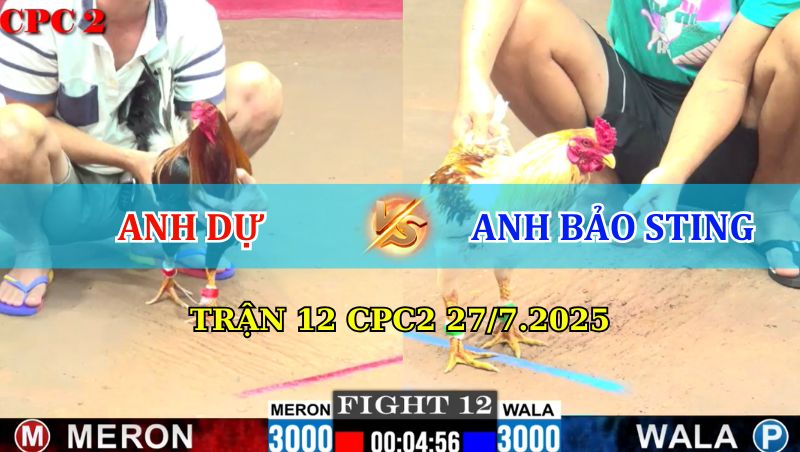 TRẬN 12 CPC2 27/7/2025 ANH DỰ VS BẢO STING 1 Trận 12 CPC2 27/7/2025