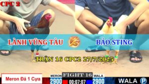 Trận 16 CPC2 27/7/2025