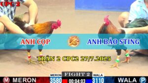 Trận 2 CPC2 27/7/2025