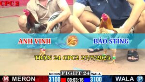 Trận 24 CPC2 27/7/2025