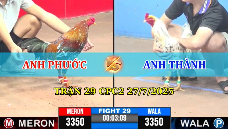 Trận 29 CPC3 27/7/2025