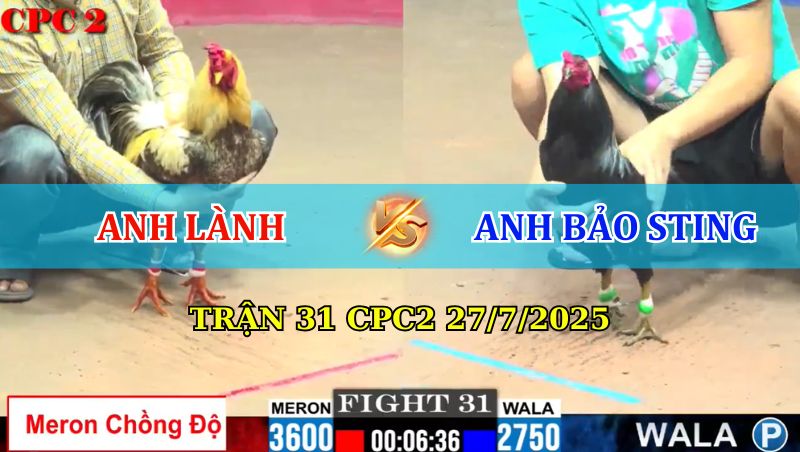 TRẬN 31 CPC2 27/7/2025 ANH LÀNH VS BẢO STING 1 Trận 31 CPC2 27/7/2025