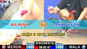 Trận 6 CPC1 28/7/2025