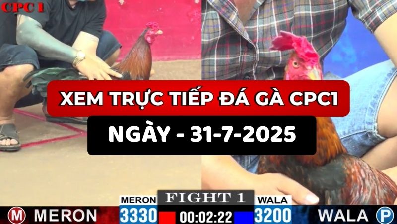 TRỰC TIẾP ĐÁ GÀ CPC1 NGÀY 31/7/2025 1 Trực Tiếp Đá Gà CPC1 Ngày 31/7/2025