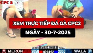 Trực Tiếp Đá Gà CPC2 Ngày 30/7/2025