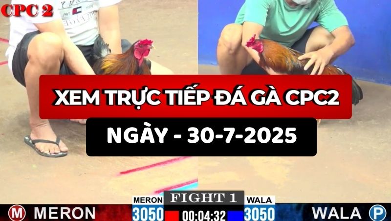 TRỰC TIẾP ĐÁ GÀ CPC2 NGÀY 30/7/2025 1 Trực Tiếp Đá Gà CPC2 Ngày 30/7/2025