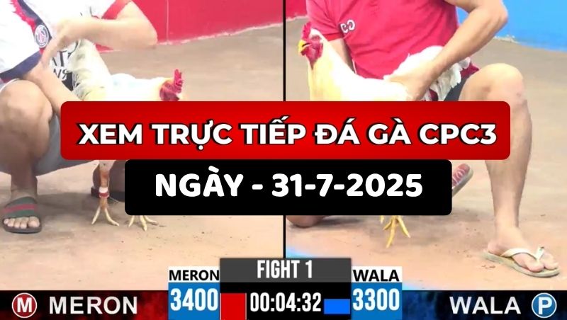 TRỰC TIẾP ĐÁ GÀ CPC3 NGÀY 31/7/2025 1 Trực Tiếp Đá Gà CPC3 Ngày 31/7/2025