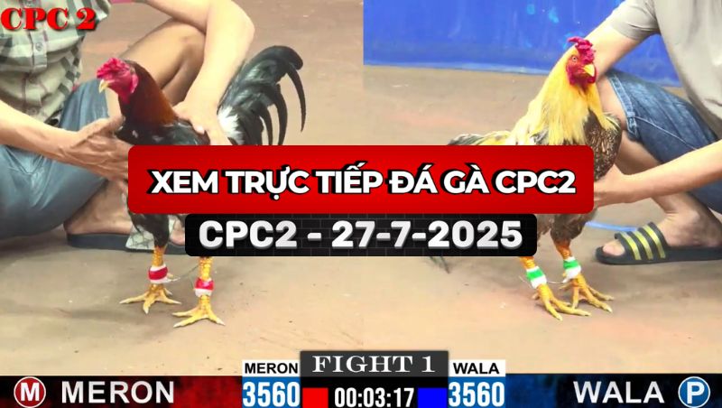 Trực Tiếp Đá Gà CPC2 Ngày 27/7/2025