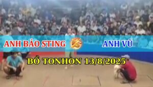 TRẬN 13 BỒ TONHON 13/8/2025