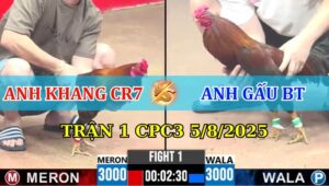 Trận 1 CPC3 5/8/2025