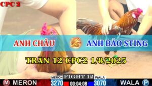 Trận 12 CPC2 1/8/2025