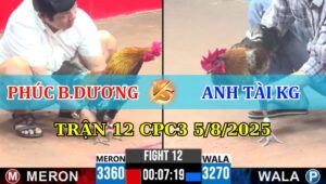 Trận 12 CPC3 5/8/2025