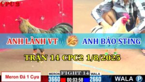 Trận 14 CPC2 1/8/2025