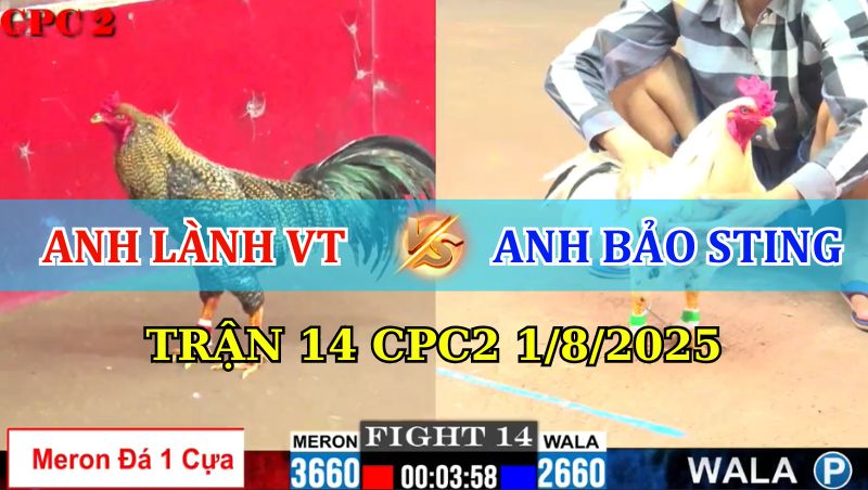 TRẬN 14 CPC2 1/8/2025 IDOL BẢO STING CHẤP NGÔNG VÀ CÁI KẾT 1 Trận 14 CPC2 1/8/2025