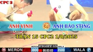 Trận 15 CPC2 1/8/2025