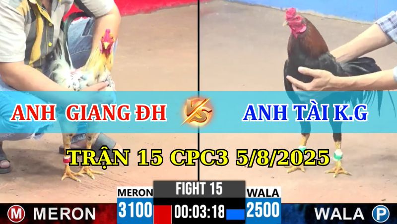 TRẬN 15 CPC3 5/8/2025 GIANG ĐỨC HÒA VS TÀI KIÊN GIANG 1 Trận 15 CPC3 5/8/2025