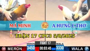 Trận 17 CPC3 5/8/2025