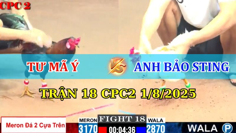 TRẬN 18 CPC2 1/8/2025 TƯ MÃ Ý HẠ ÔNG TRÙM WALA 1 Trận 18 CPC2 1/8/2025