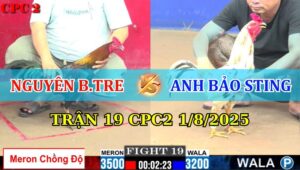 Trận 19 CPC2 1/8/2025