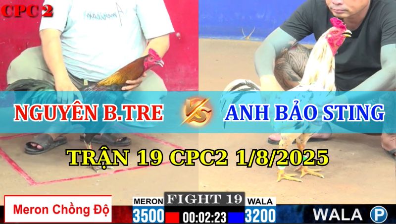 TRẬN 19 CPC2 1/8/2025 CHỒNG ĐỘ VỚI ÔNG TRÙM WALA VÀ CÁI KẾT 1 Trận 19 CPC2 1/8/2025