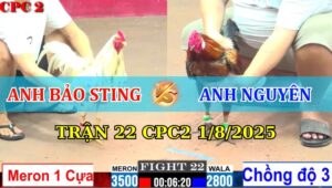 Trận 22 CPC2 1/8/2025