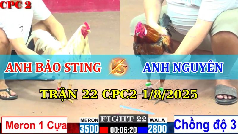 TRẬN 22 CPC2 1/8/2025 BẢO STING VS NGUYÊN BẾN TRE 1 Trận 22 CPC2 1/8/2025
