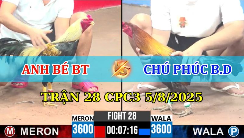 Trận 28 CPC3 5/8/2025