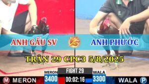 Trận 29 CPC3 5/8/2025